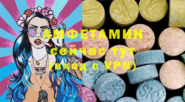 спиды Пересвет