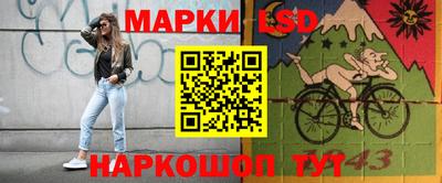 гидра Ставрополь