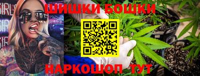 гидра Ставрополь