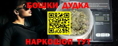 гидра Ставрополь