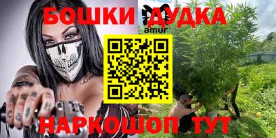 гидра Ставрополь