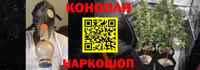 гидра Ставрополь