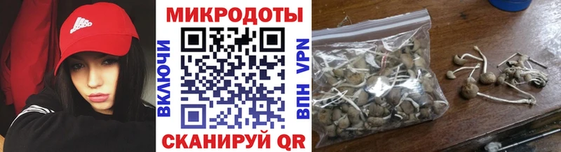 купить наркотики цена  Саки  Псилоцибиновые грибы ЛСД 