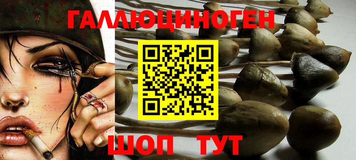 Галлюциногенные грибы мухоморы  Вход с VPN  Псилоцибиновые грибы MAGIC MUSHROOMS  Саки 